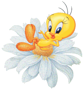 Gif Titi fleur